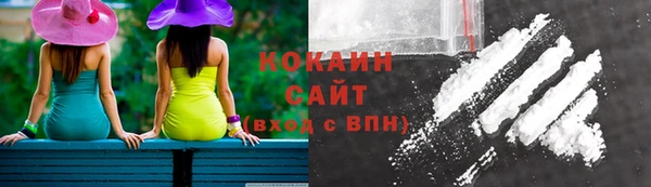 прущая мука Дмитриев